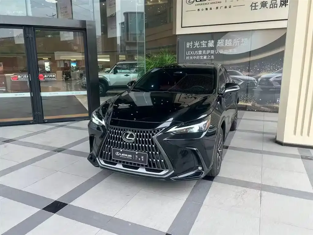 Lexus NX 2022 из CN, фото 1