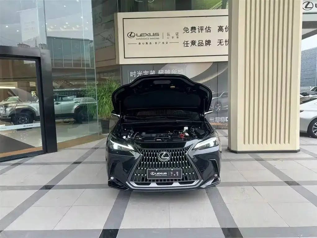Lexus NX 2022 из CN, фото 2