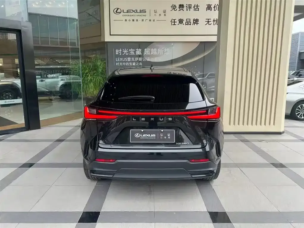 Lexus NX 2022 из CN, фото 3