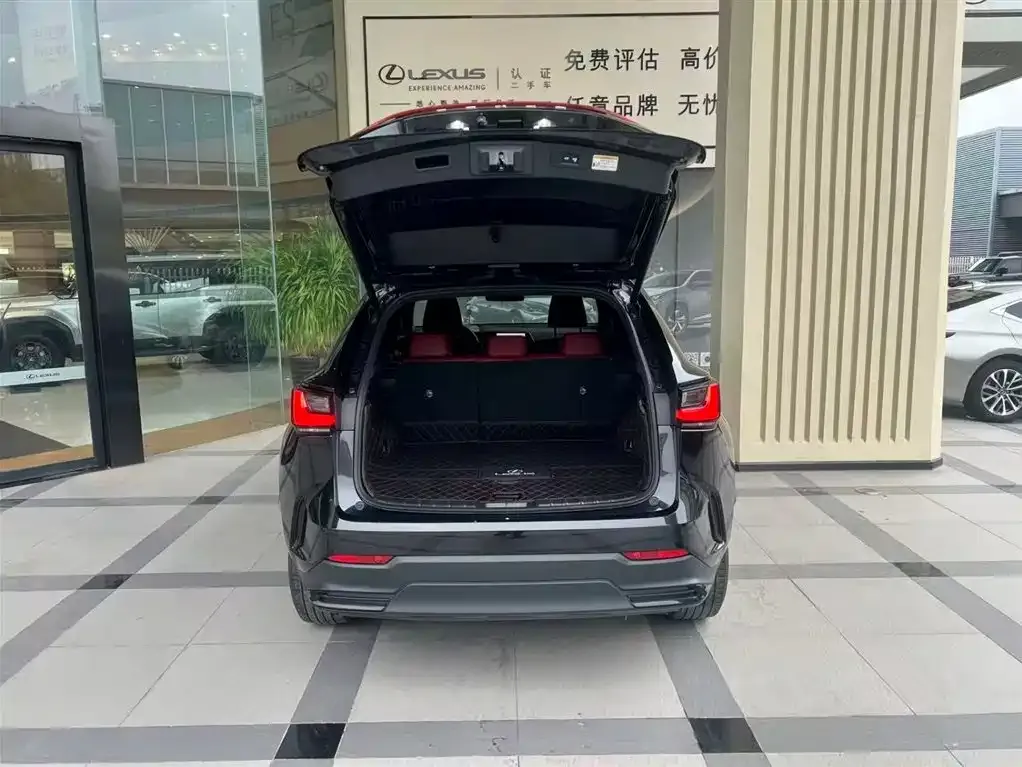 Lexus NX 2022 из CN, фото 4