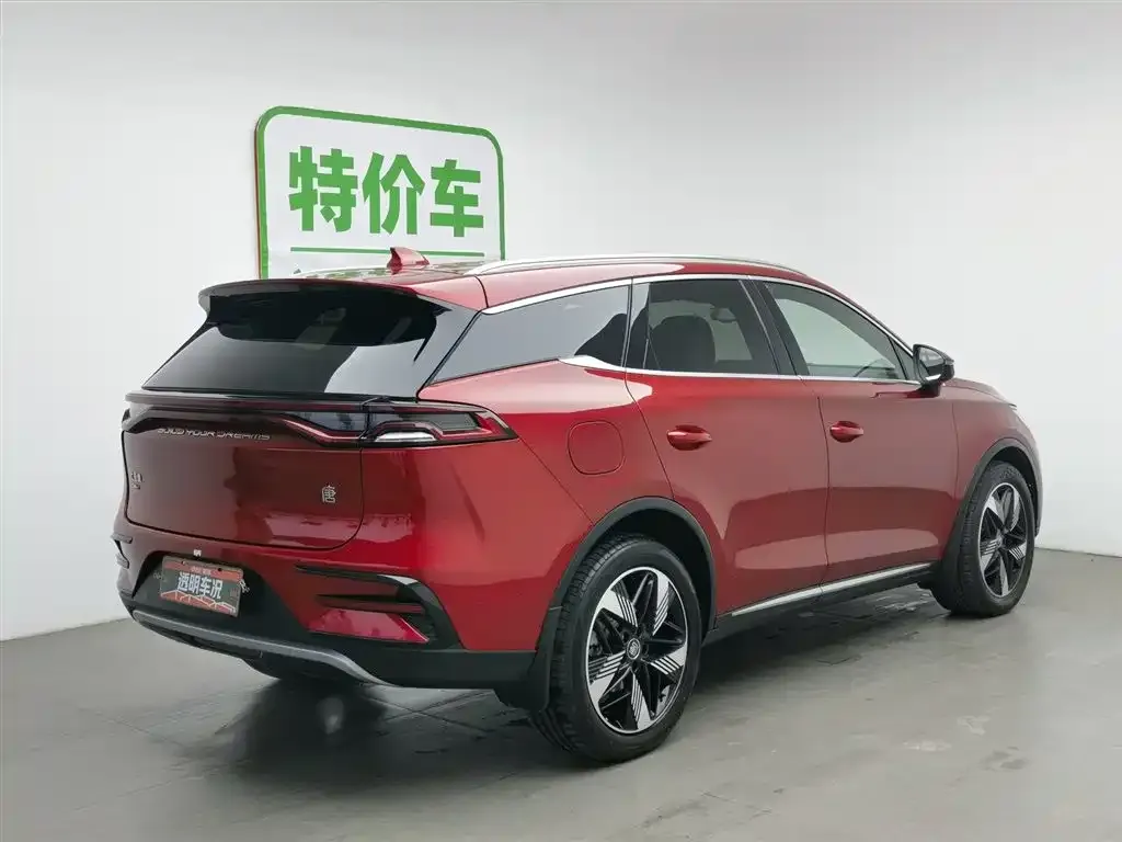 BYD Tang New Energy 2023 из CN, фото 2