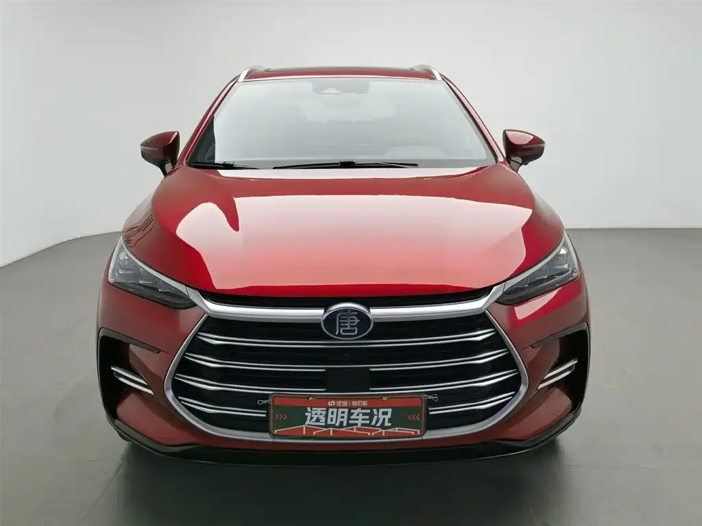 BYD Tang New Energy 2023 из CN, фото 3