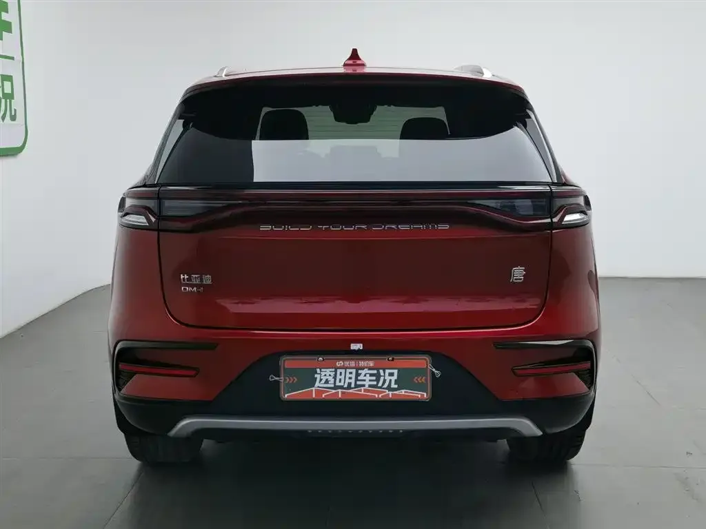 BYD Tang New Energy 2023 из CN, фото 4