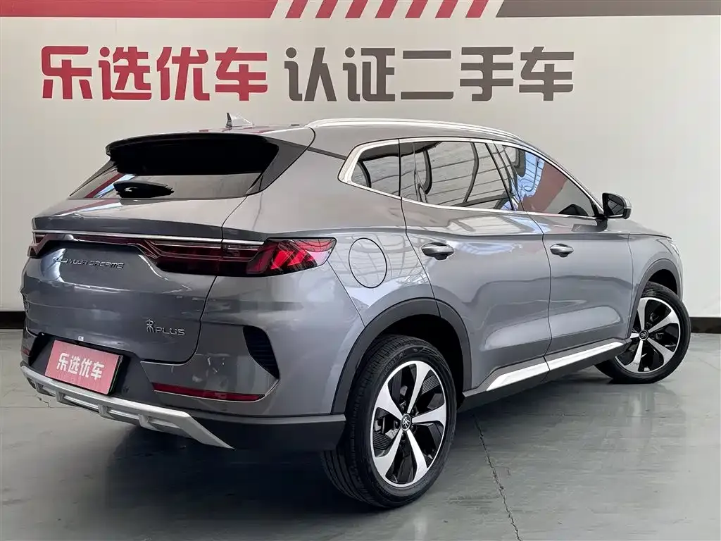 BYD PLUS New Energy 2023 из CN, фото 4