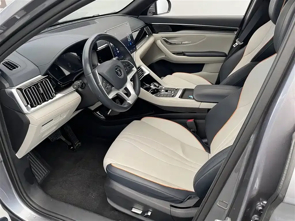 BYD PLUS New Energy 2023 из CN, фото 6