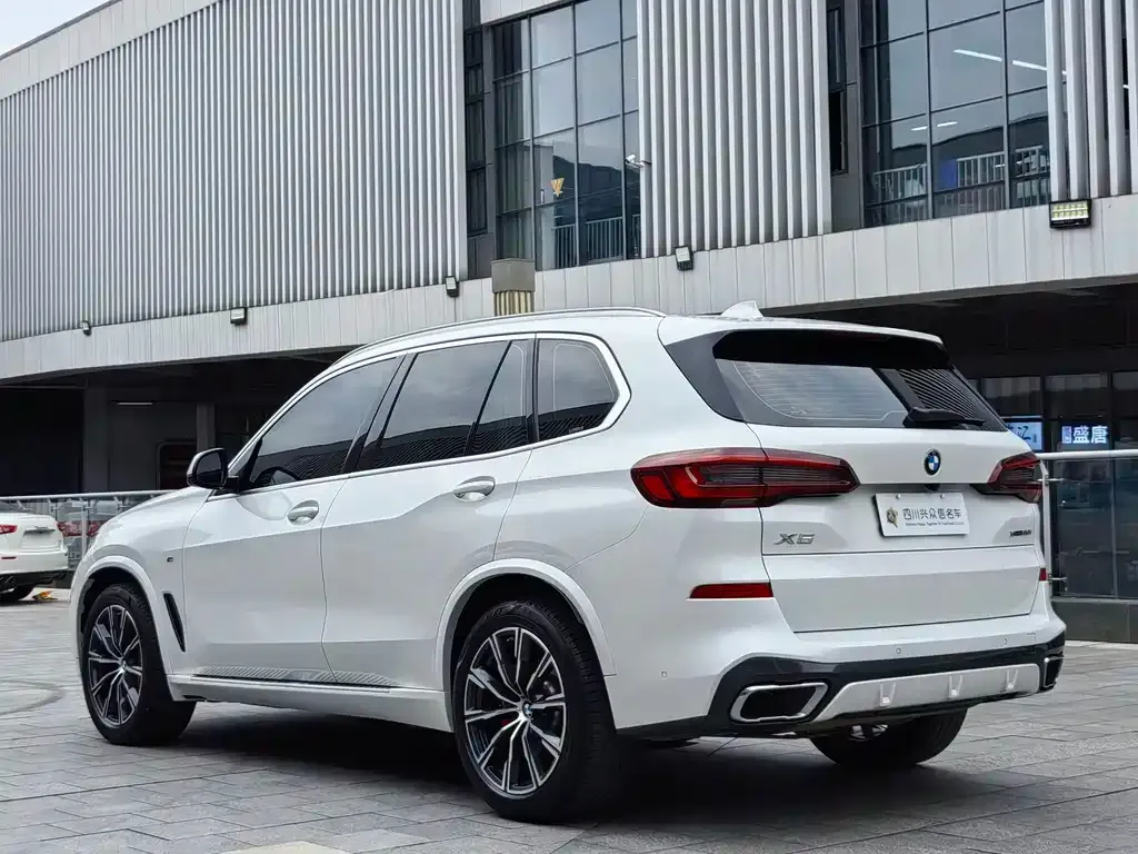 [object Object] X5 (Import) 2022 из CN, фото 8