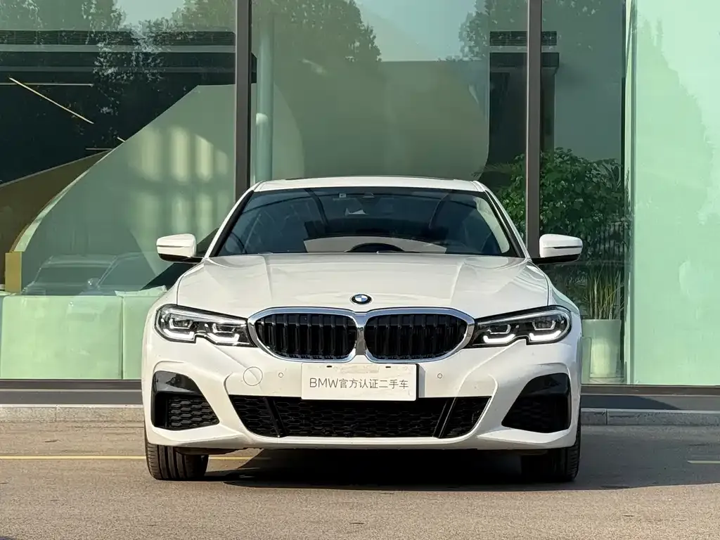 BMW 3 Series 2021 из CN, фото 6