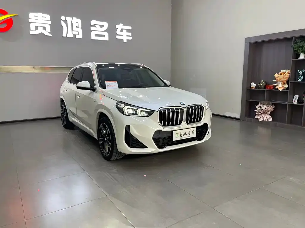 BMW X1 2023 из CN, фото 2