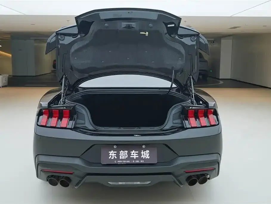 Ford Mustang 2025 из CN, фото 6