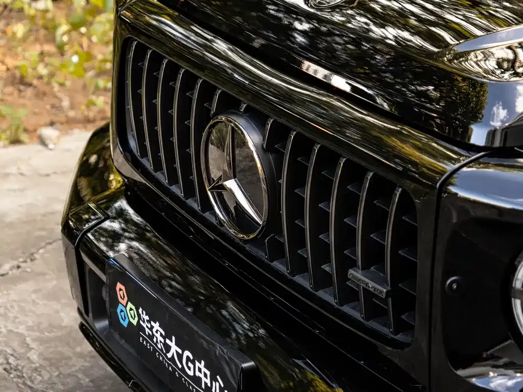 [object Object] G-Class 2025 из CN, фото 9