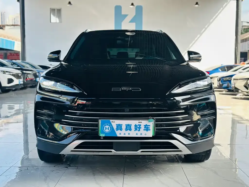 BYD PLUS New Energy 2024 из CN, фото 2