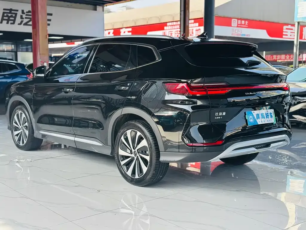 BYD PLUS New Energy 2024 из CN, фото 3
