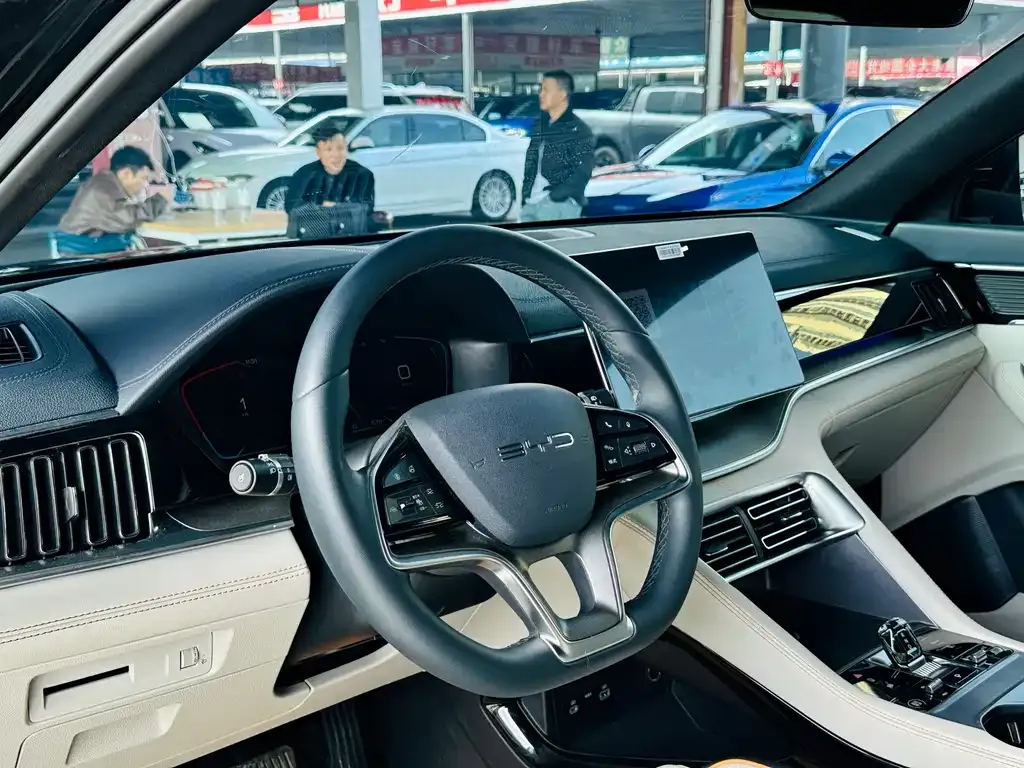 BYD PLUS New Energy 2024 из CN, фото 6