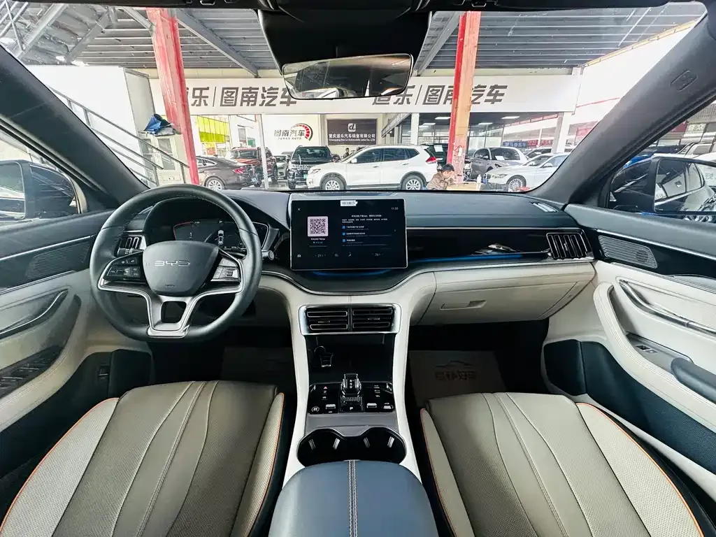 BYD PLUS New Energy 2024 из CN, фото 8