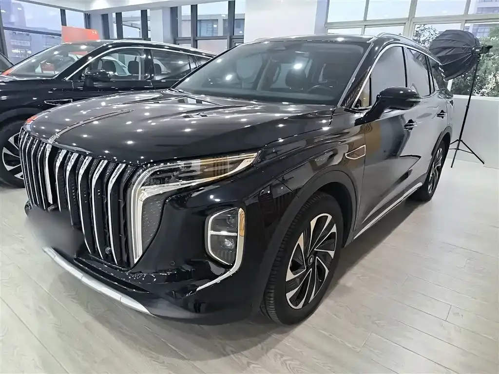 Hongqi HS7 PHEV 2024 из CN, фото 2