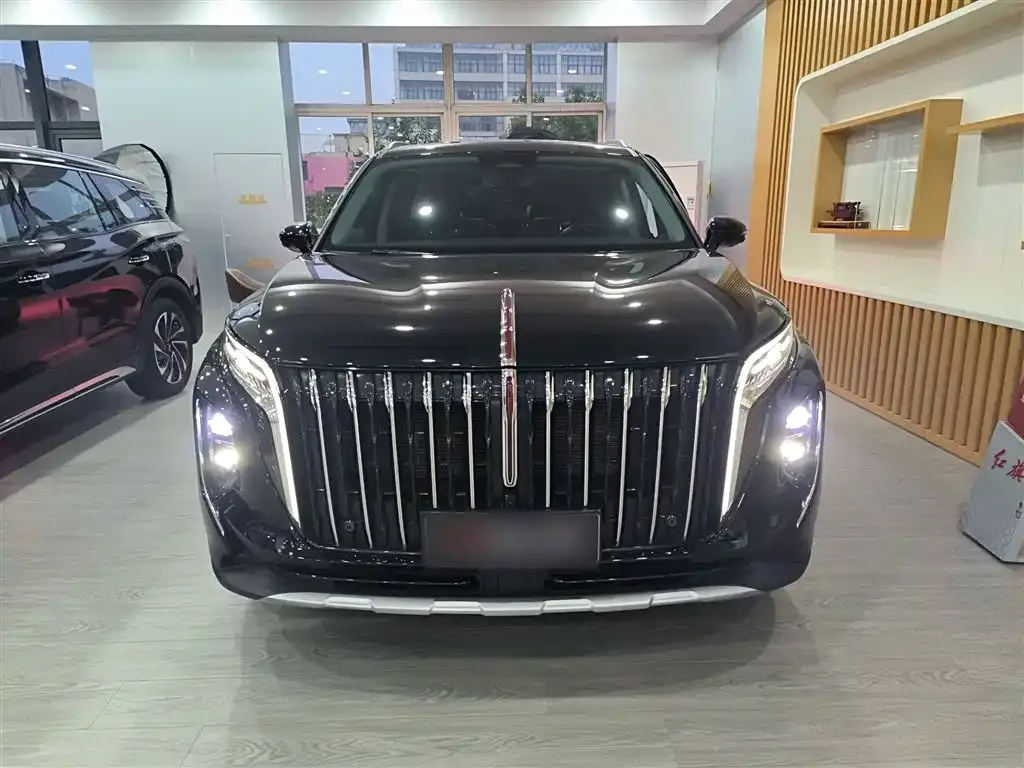 Hongqi HS7 PHEV 2024 из CN, фото 3