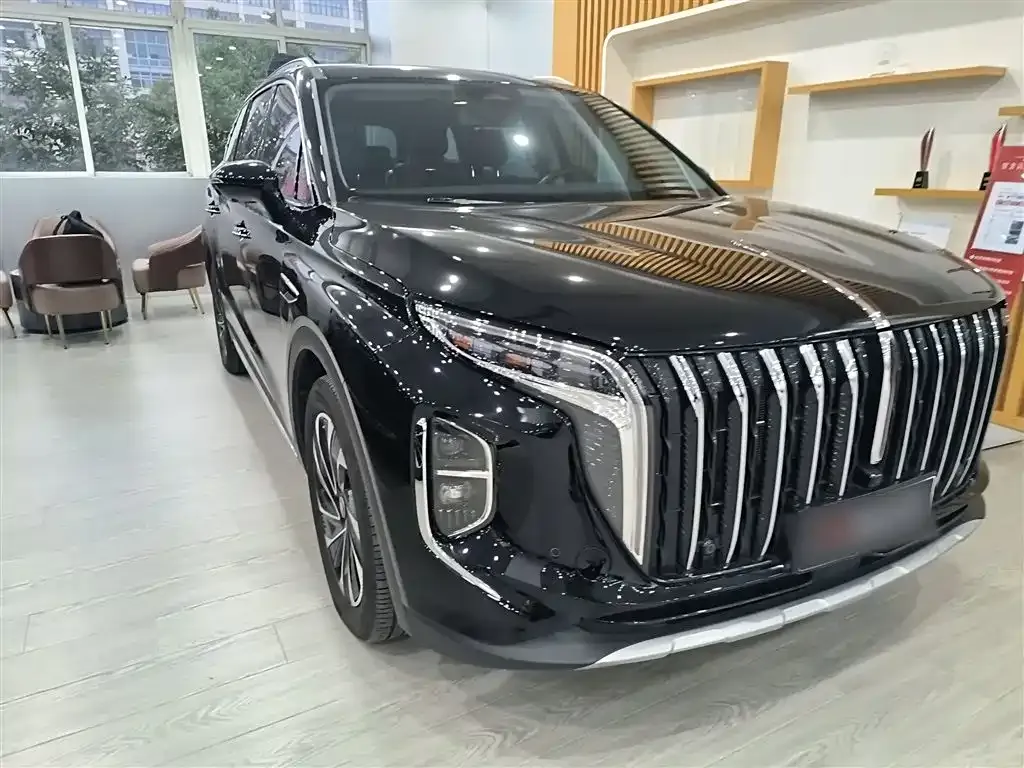 Hongqi HS7 PHEV 2024 из CN, фото 4