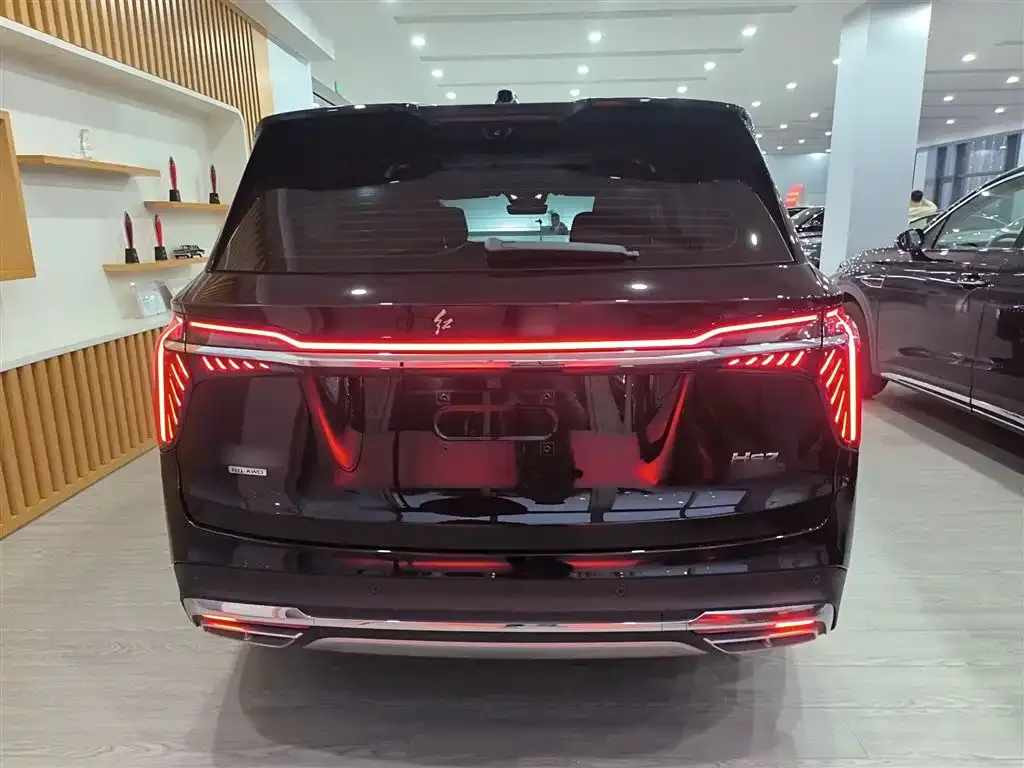 Hongqi HS7 PHEV 2024 из CN, фото 6