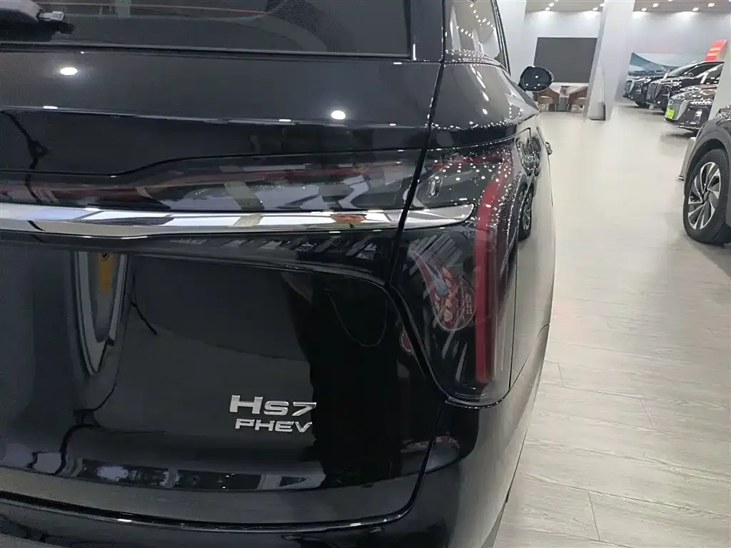 Hongqi HS7 PHEV 2024 из CN, фото 8