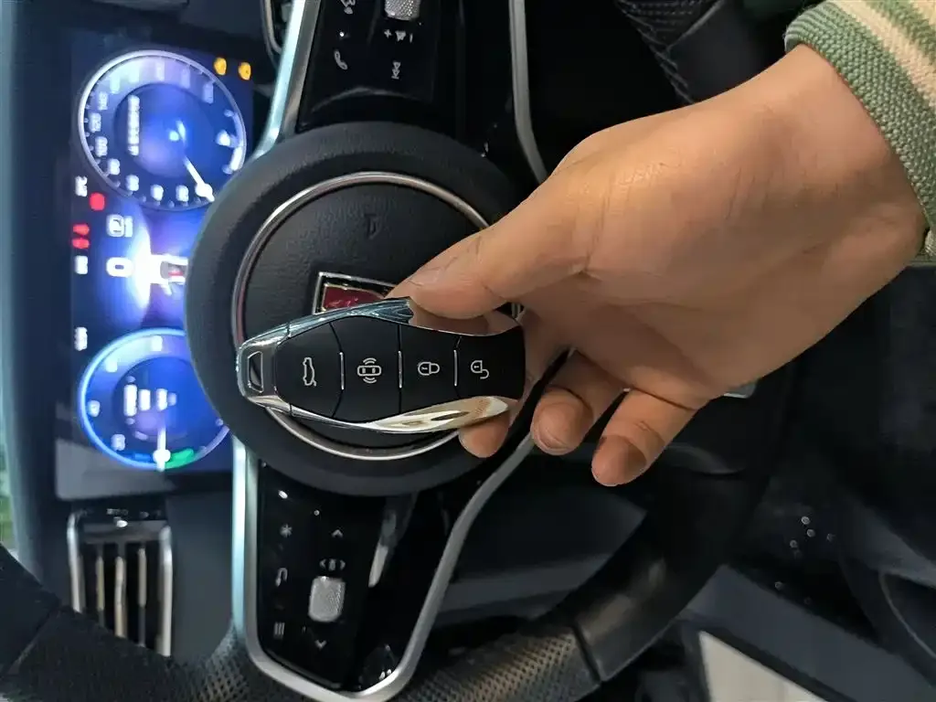 Hongqi HS7 PHEV 2024 из CN, фото 9