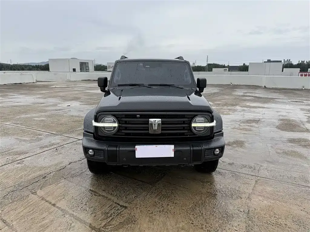 [object Object] Tank 300 2022 из CN, фото 2