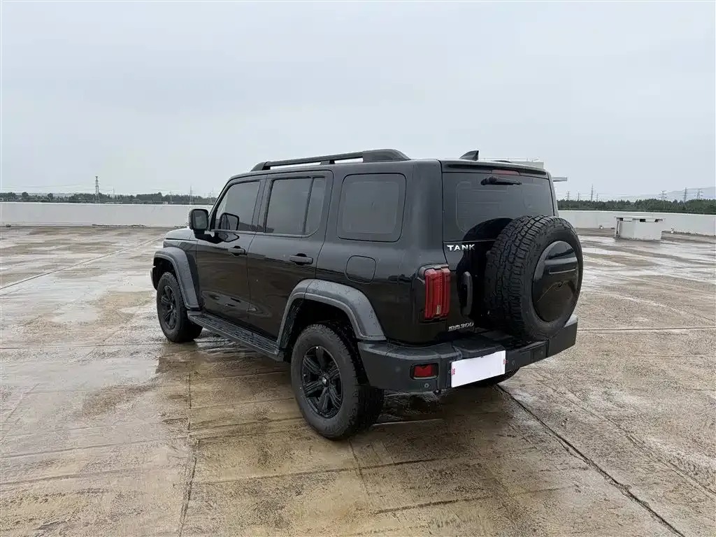 [object Object] Tank 300 2022 из CN, фото 7