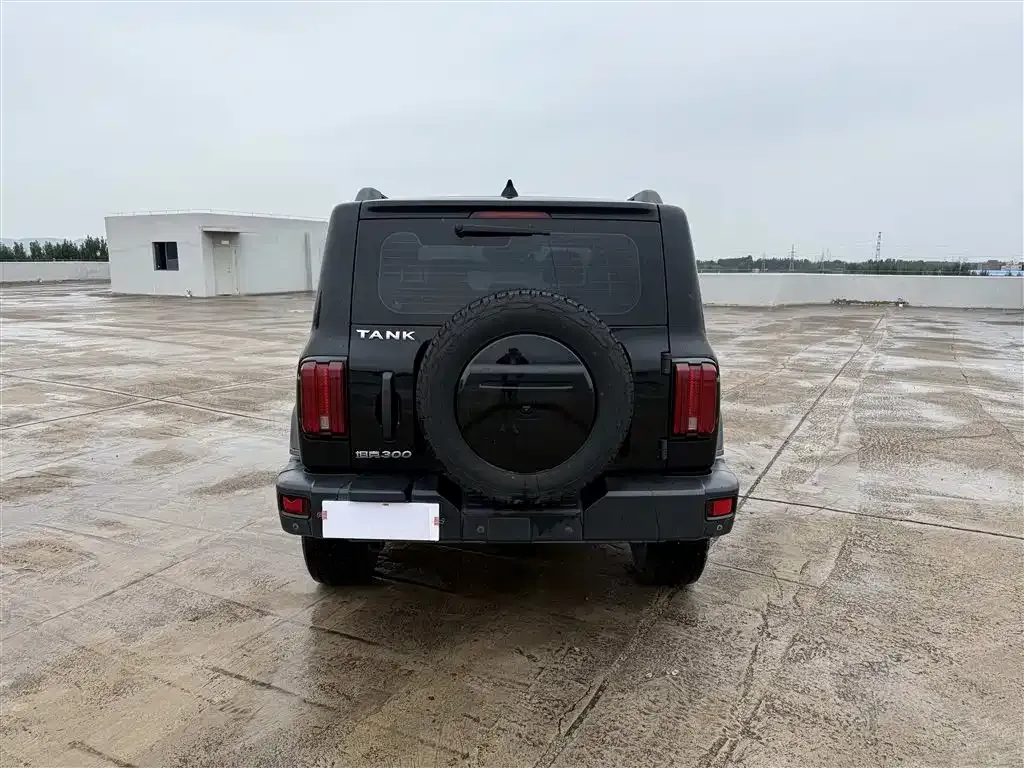 [object Object] Tank 300 2022 из CN, фото 8