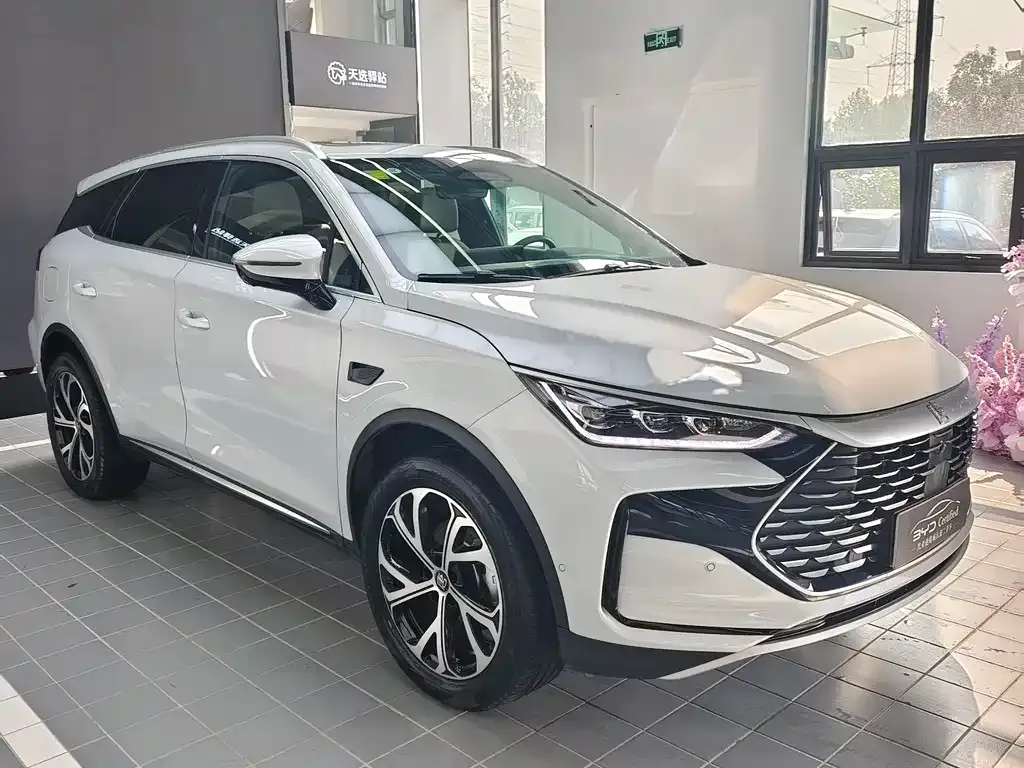 BYD Tang New Energy 2025 из CN, фото 3