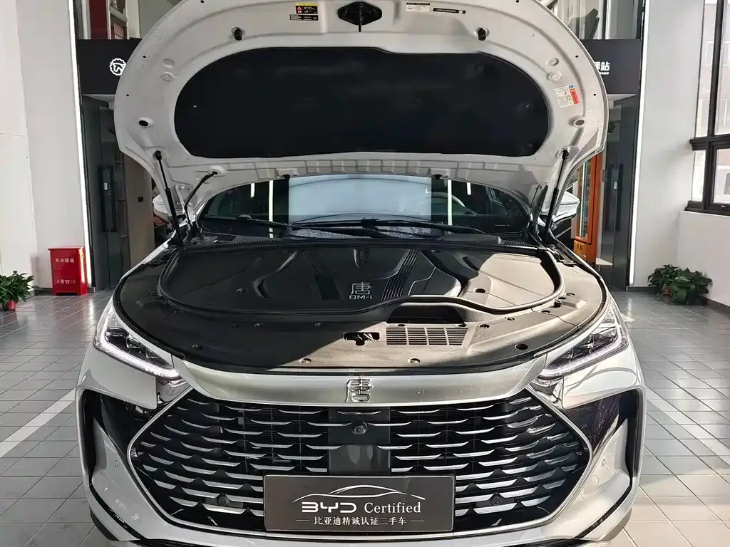 BYD Tang New Energy 2025 из CN, фото 4