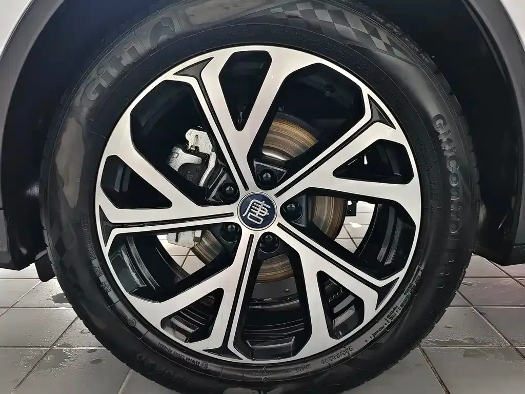 BYD Tang New Energy 2025 из CN, фото 6