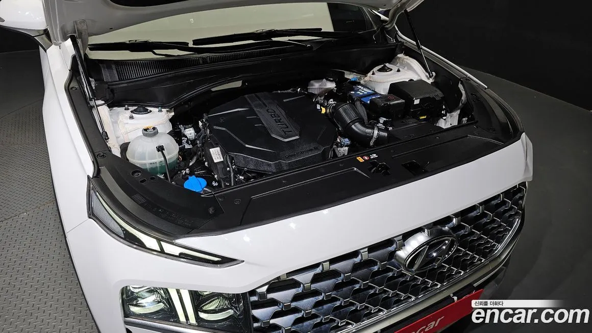 Hyundai Santafe 2021 из KR, фото 6