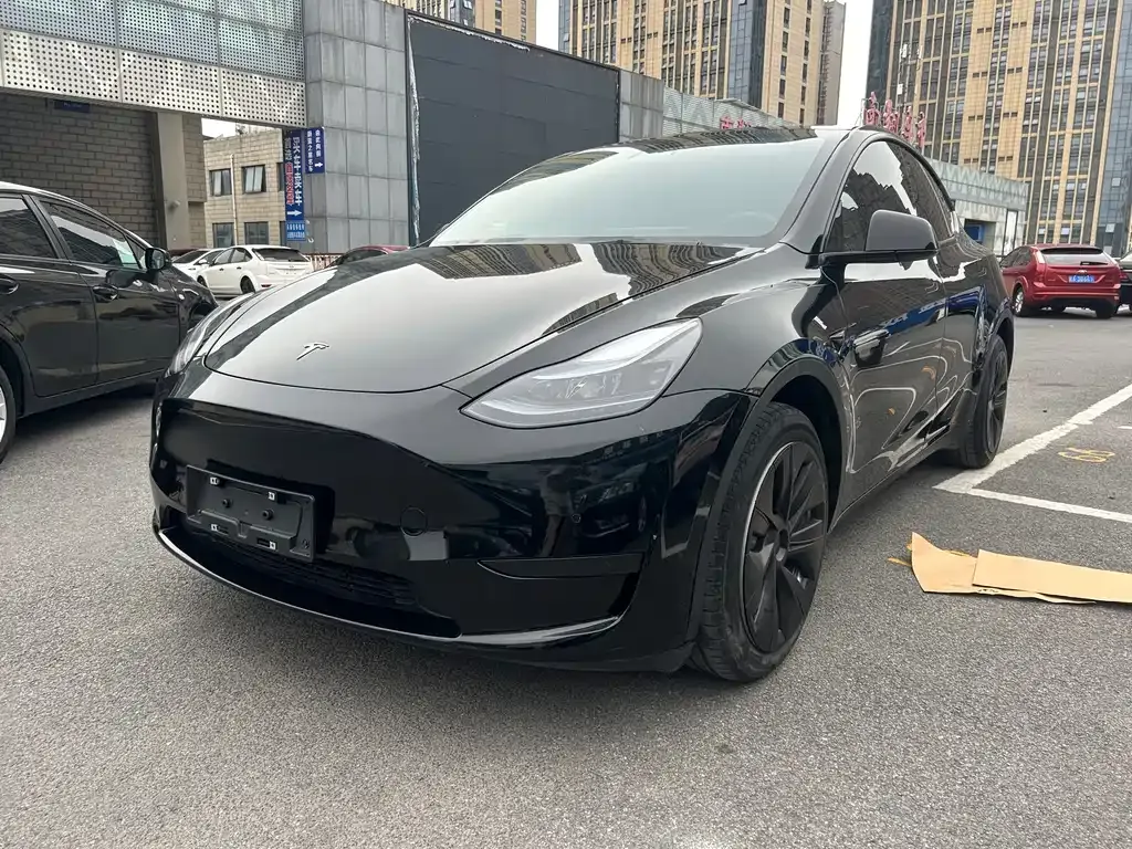Tesla Model Y 2023 из CN, фото 1