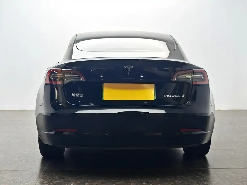 Tesla Model 3 2023 из CN, фото 6