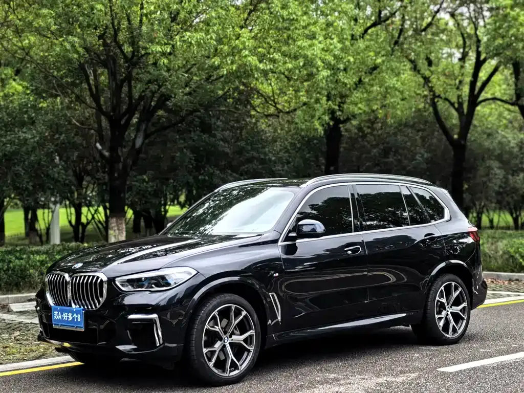 BMW X5 2023 из CN, фото 1