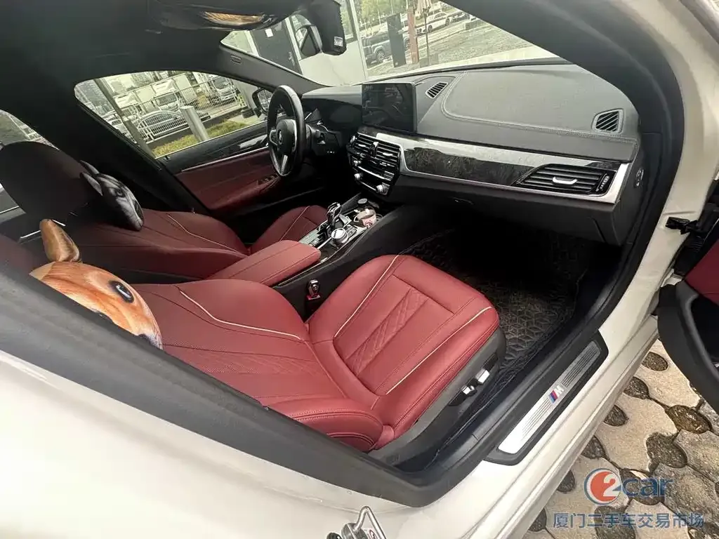 BMW 5 Series 2022 из CN, фото 5