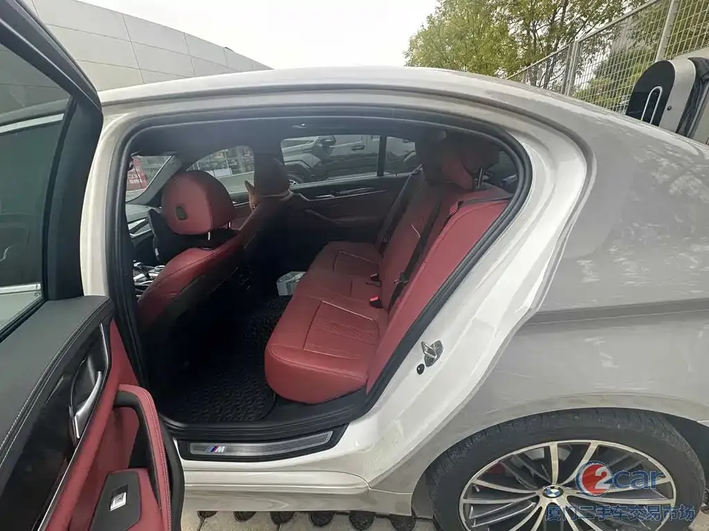 BMW 5 Series 2022 из CN, фото 6
