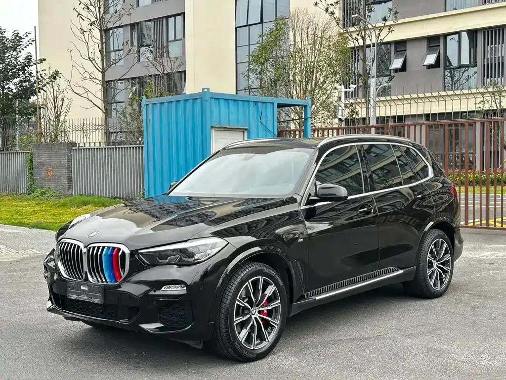 BMW X5 (Import) 2021 из CN, фото 1