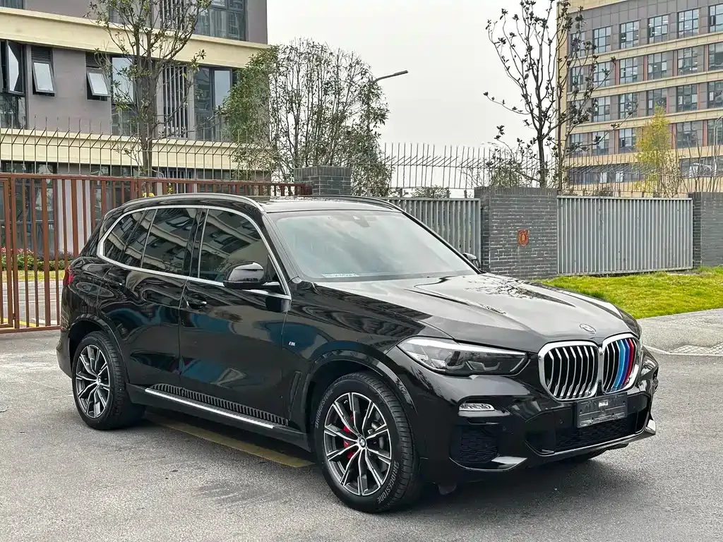 BMW X5 (Import) 2021 из CN, фото 3