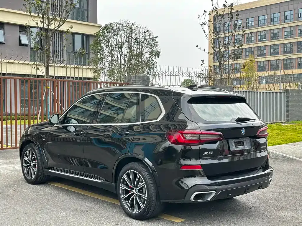 BMW X5 (Import) 2021 из CN, фото 7
