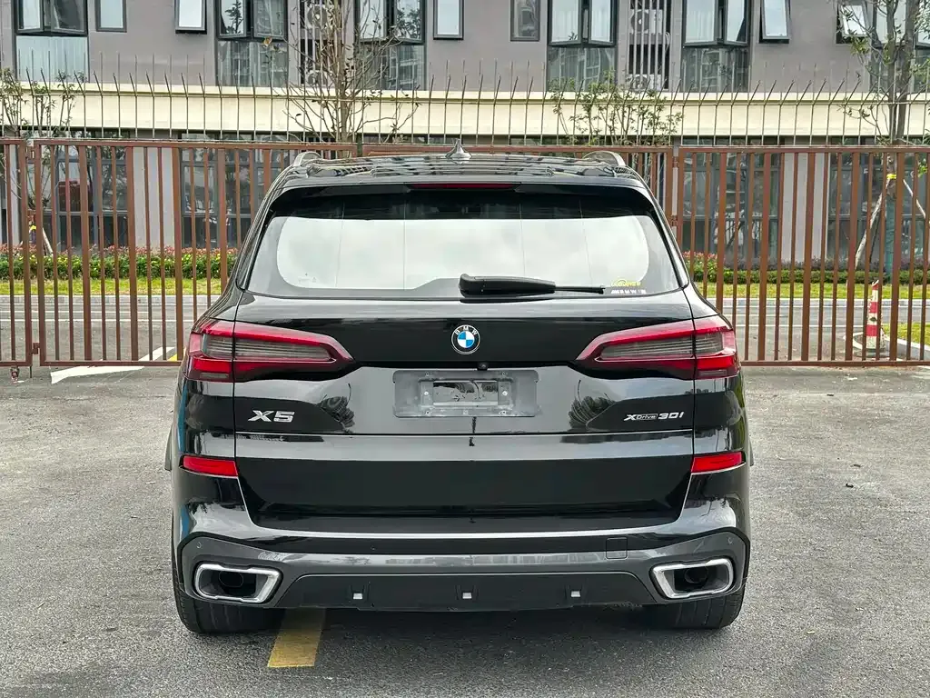 BMW X5 (Import) 2021 из CN, фото 8