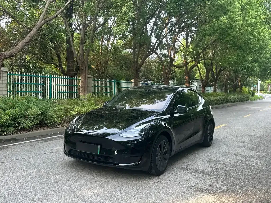 Tesla Model Y 2023 из CN, фото 1