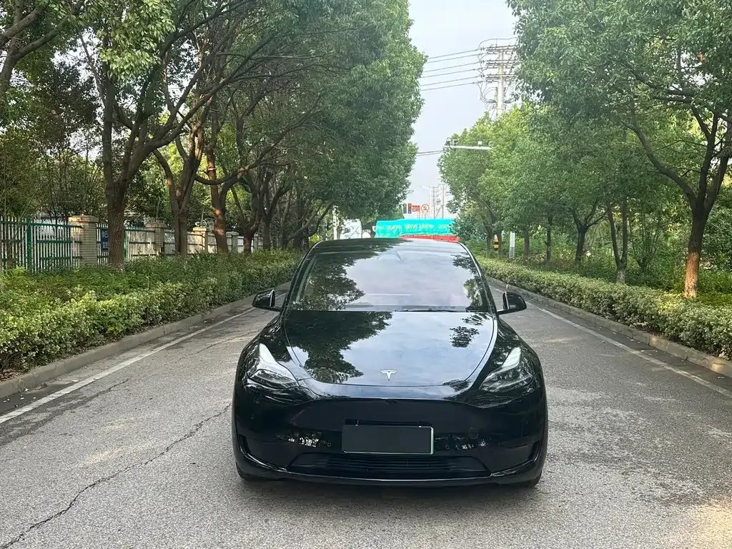 Tesla Model Y 2023 из CN, фото 2