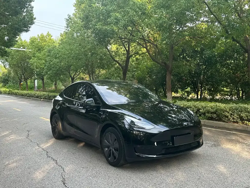 Tesla Model Y 2023 из CN, фото 3