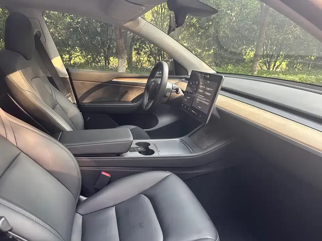 Tesla Model Y 2023 из CN, фото 4