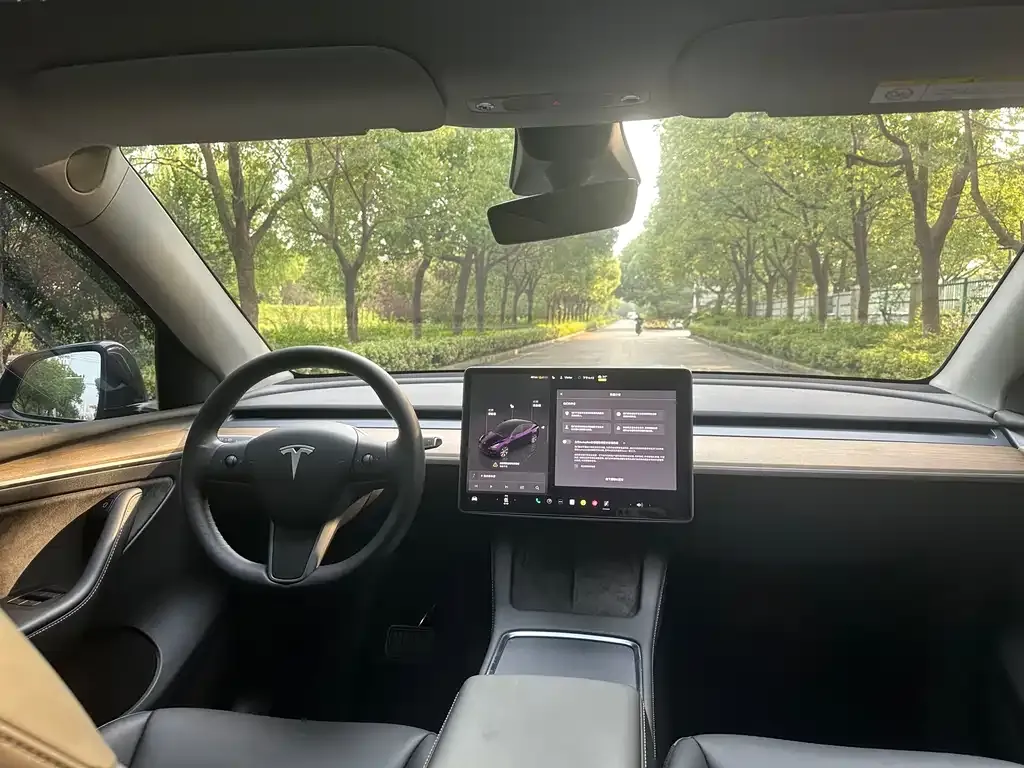 Tesla Model Y 2023 из CN, фото 5