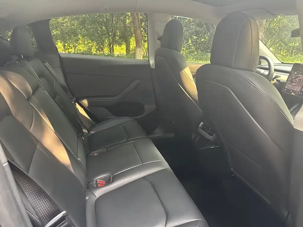 Tesla Model Y 2023 из CN, фото 6