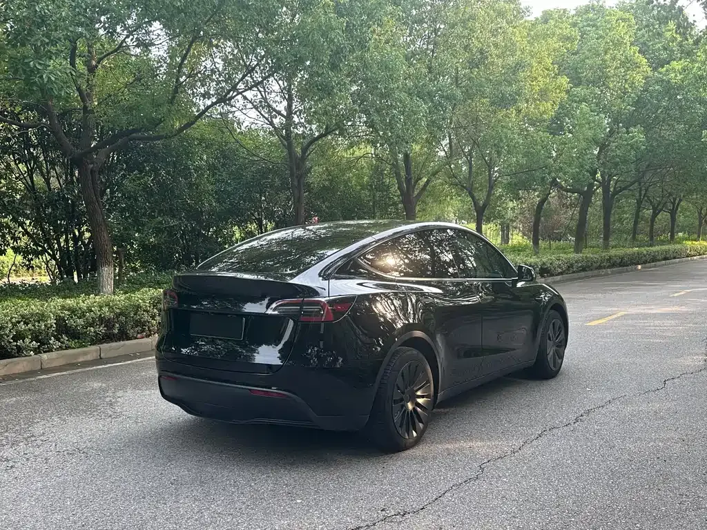 Tesla Model Y 2023 из CN, фото 7