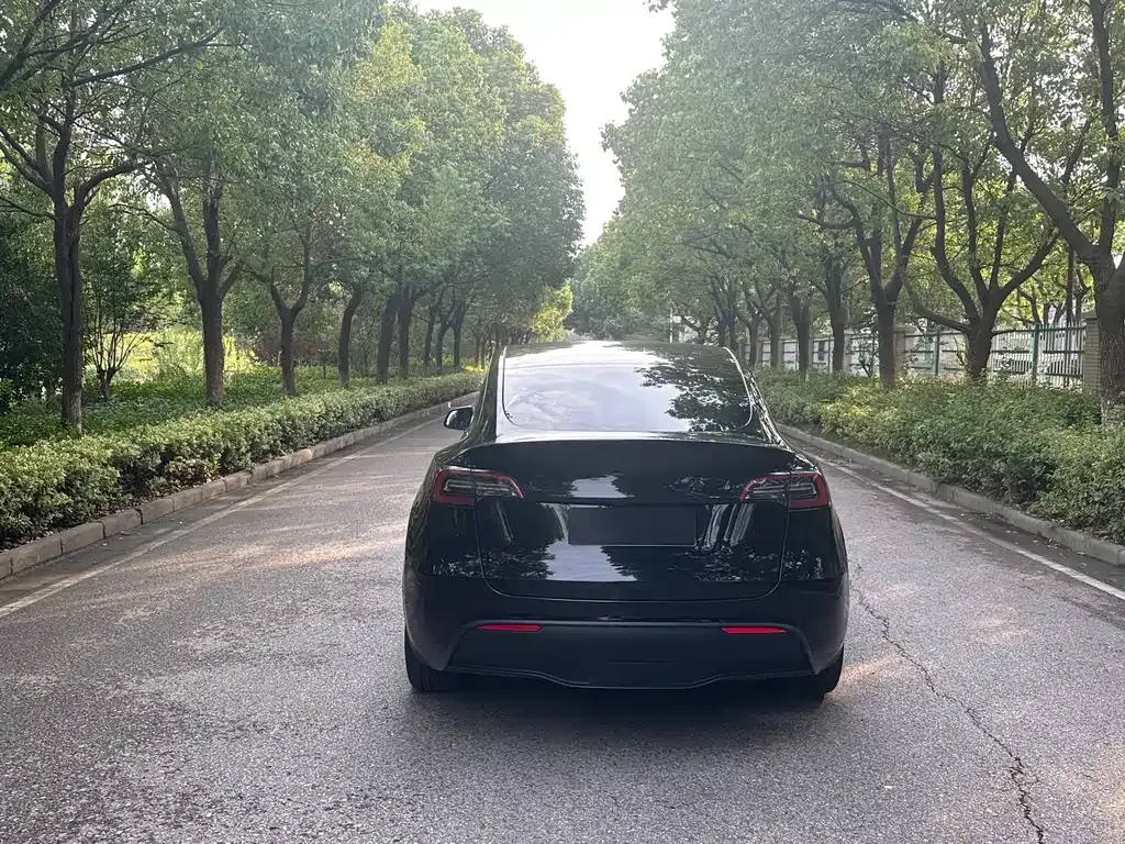 Tesla Model Y 2023 из CN, фото 8