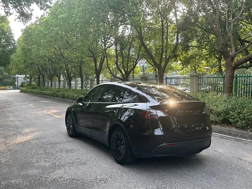 Tesla Model Y 2023 из CN, фото 9