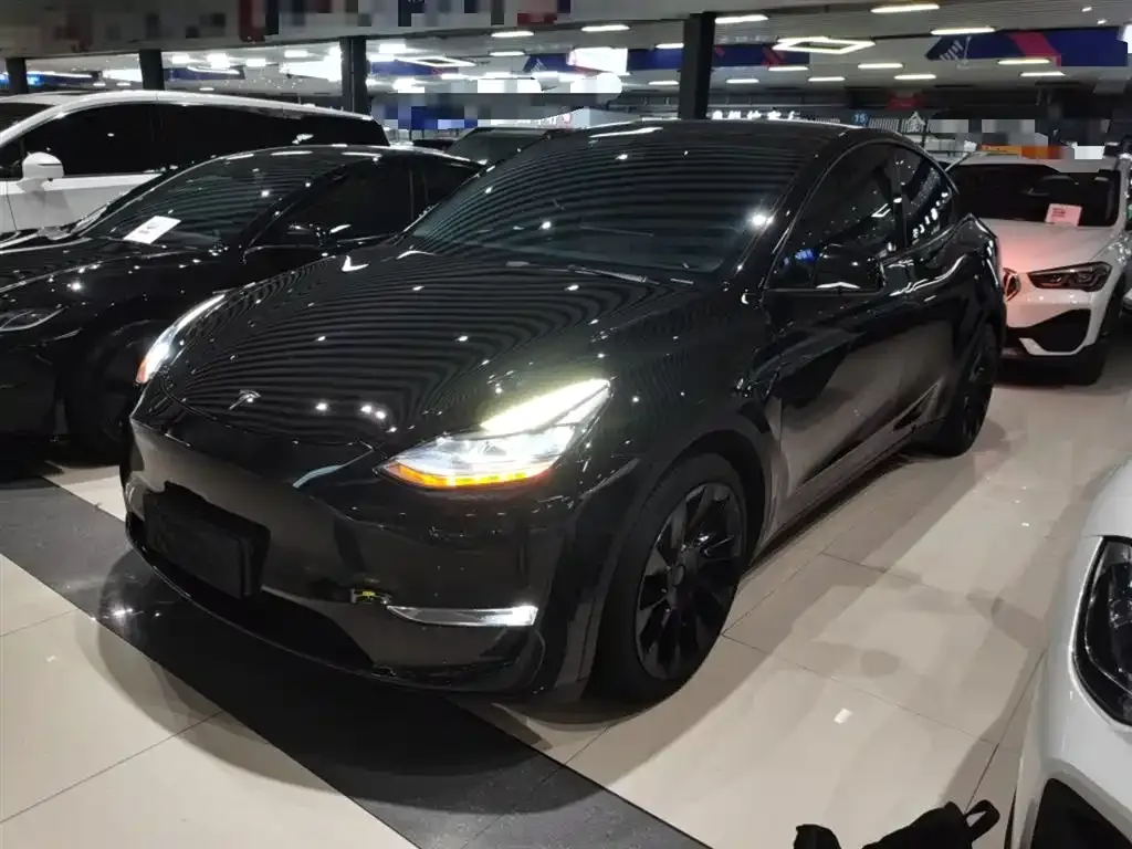 Tesla Model Y 2021 из CN, фото 2